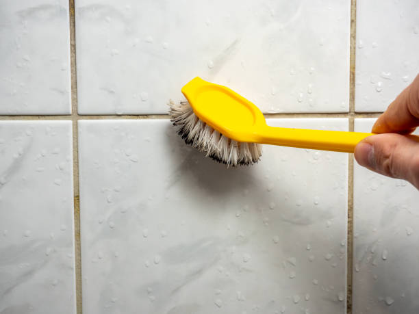 Best Toxic Mold Removal  in Riverview, SC