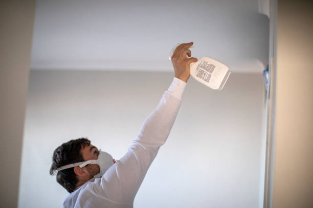 Professional Mold Removal in Riverview, SC
