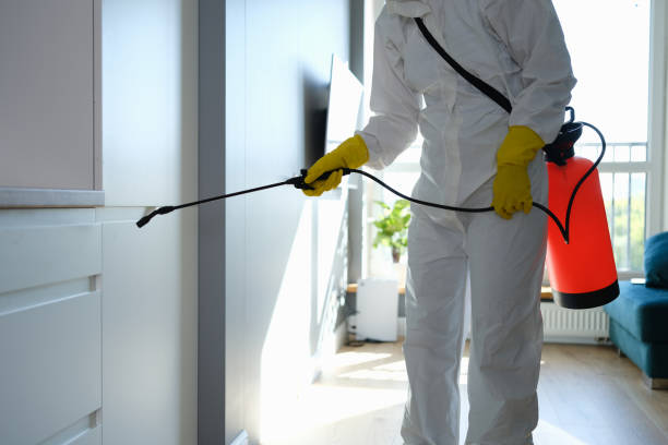 Best Certified Mold Removal  in Riverview, SC