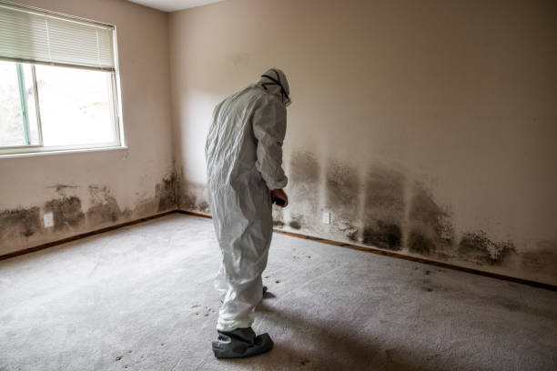Best Mold Testing  in Riverview, SC